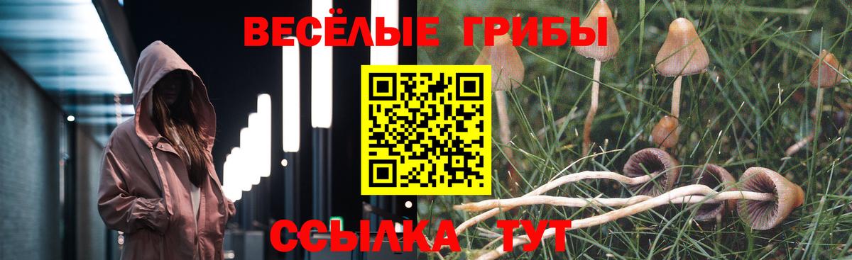 Заринск  Галлюциногенные грибы Magic Shrooms  Галлюциногенные грибы Magic Shrooms  Вход с VPN 